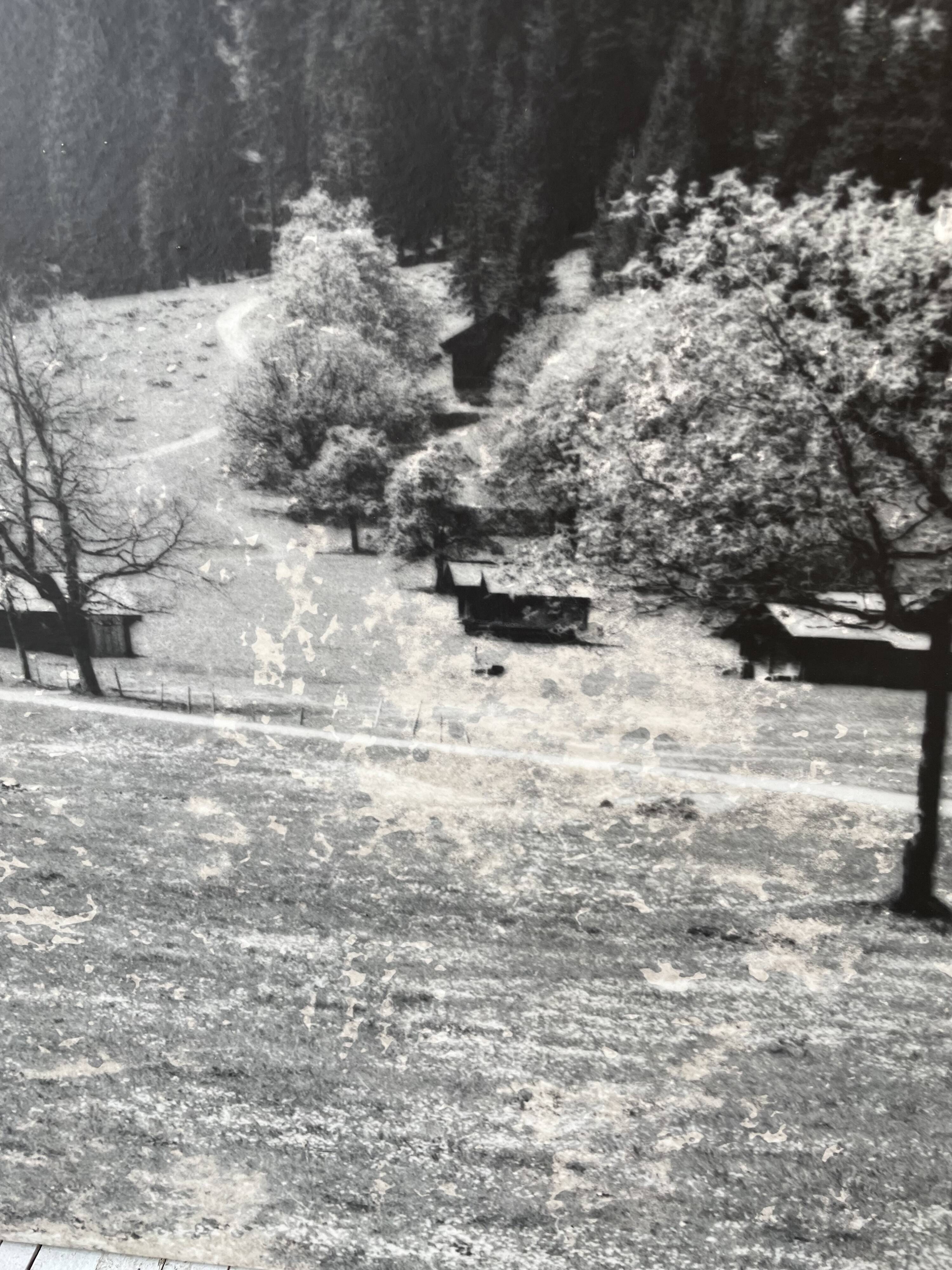 Old XXL black and white mountain photography