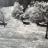 Ancienne photographie montagne noir et blanc XXL
