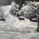 Old XXL black and white mountain photography