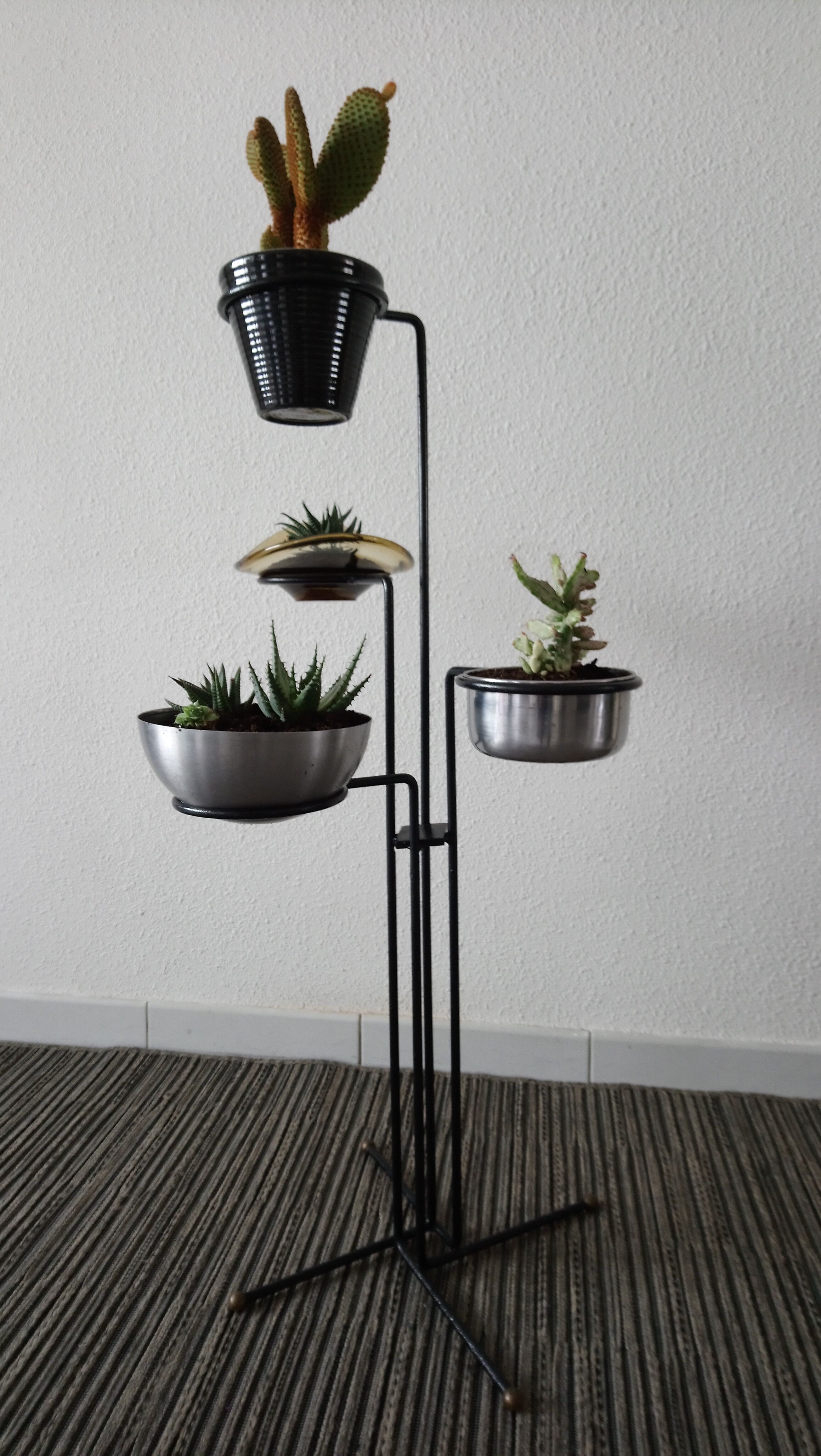 Black iron plant rack 50s