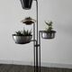 Black iron plant rack 50s