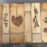 Vintage ceramic coffee table with herbarium decorations by Roger Capron, solid beech base.