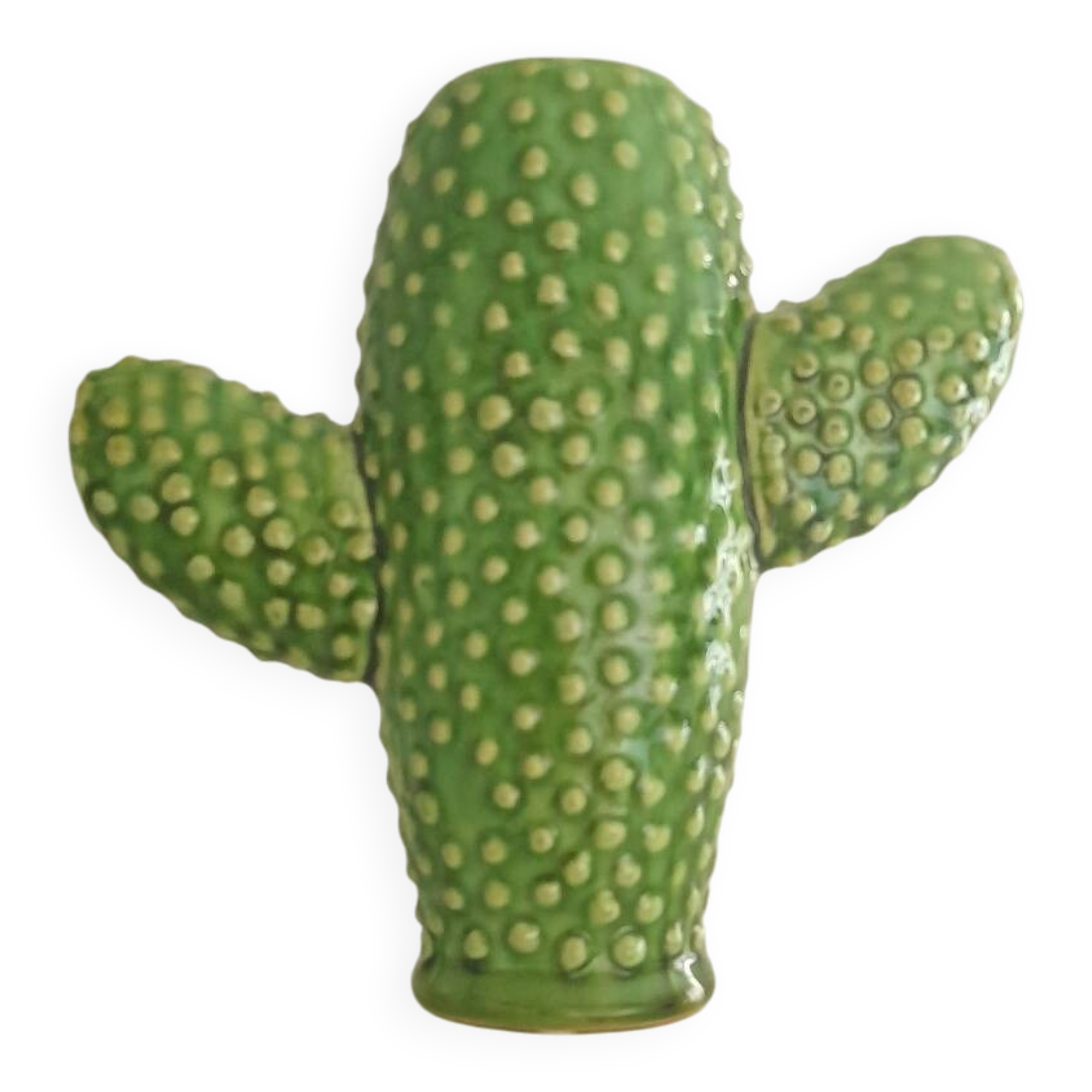 Serax slip cactus vase