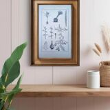 Planche botanique imprimée en 1889, les tiges