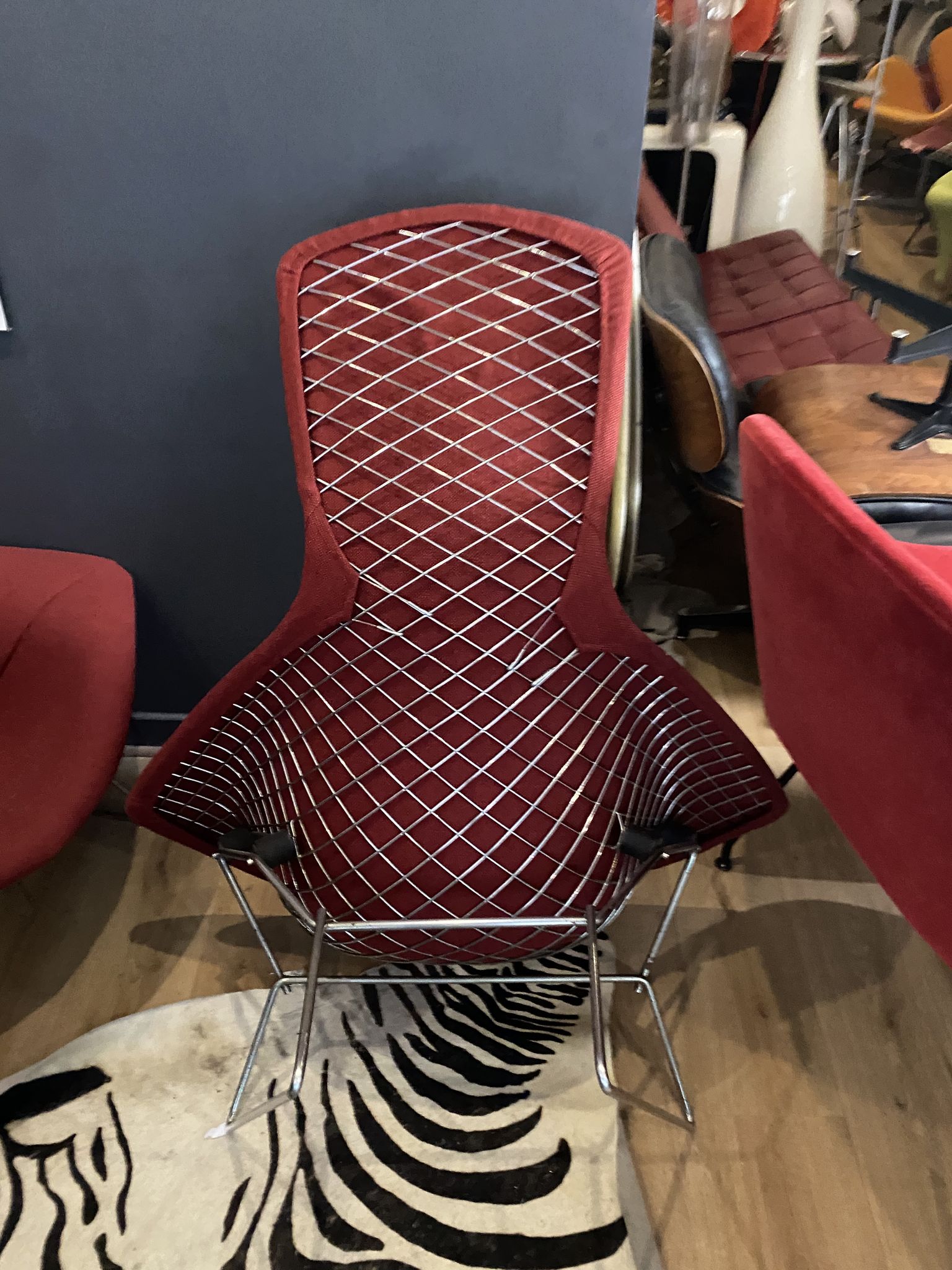 Fauteuil Bertoia Bird édition Knoll 1970