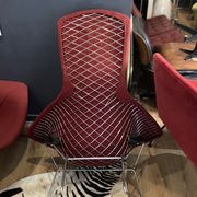 Fauteuil Bertoia Bird édition Knoll 1970