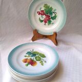 8 plates dabbling 2 decorations, currants, raspberries