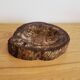 Pocket Video Pierre Fossilised Tree Fossil Section 1.66 Kg