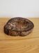 Pocket Video Pierre Fossilised Tree Fossil Section 1.66 Kg