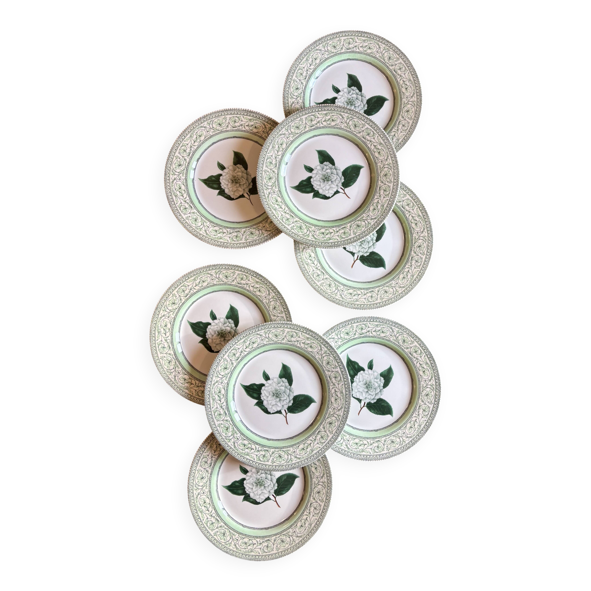 Lot de 8 assiettes plates Camélia - en porcelaine Anglaise