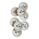 Lot de 8 assiettes plates Camélia - en porcelaine Anglaise