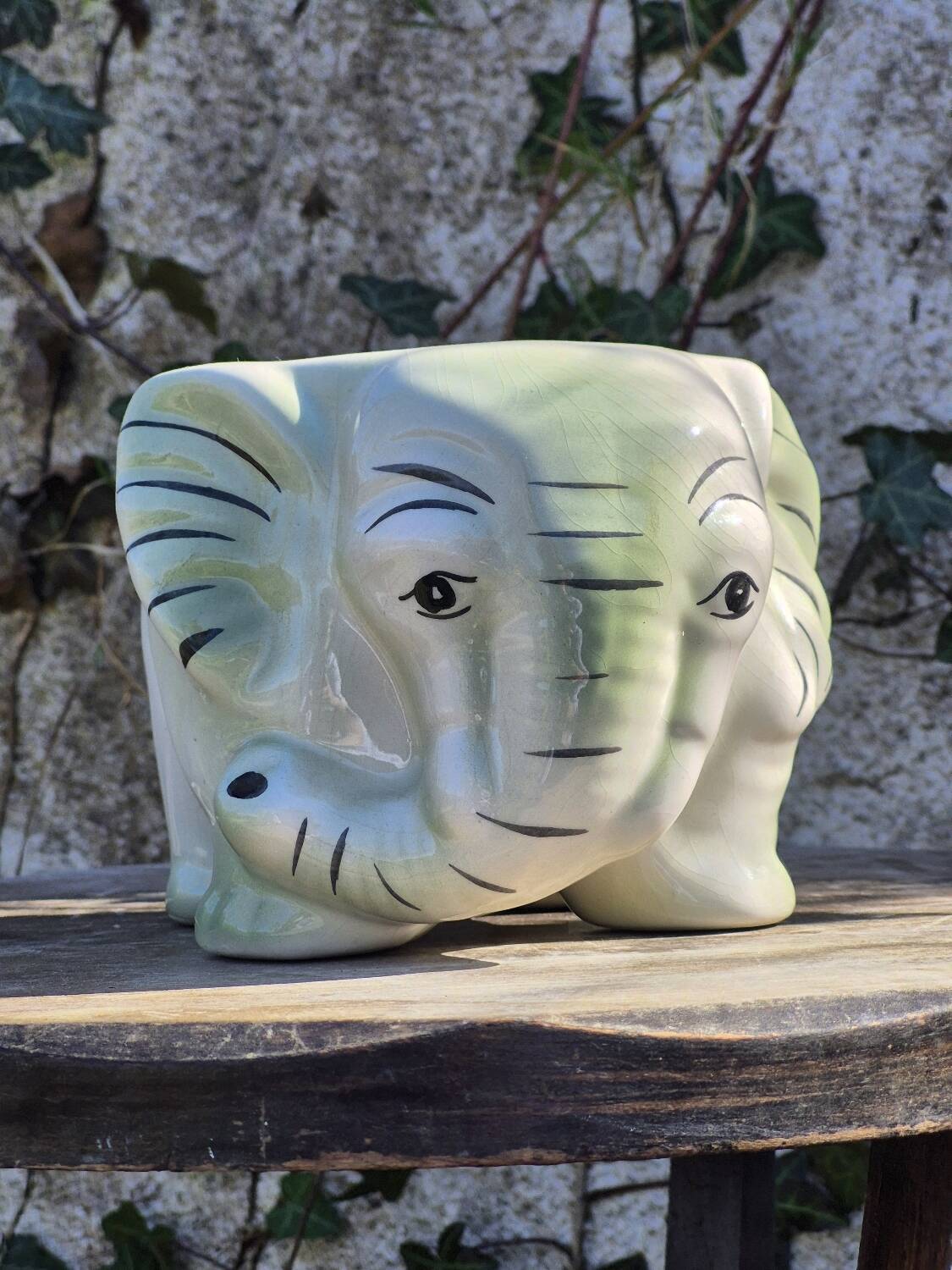 Elephant plant pot