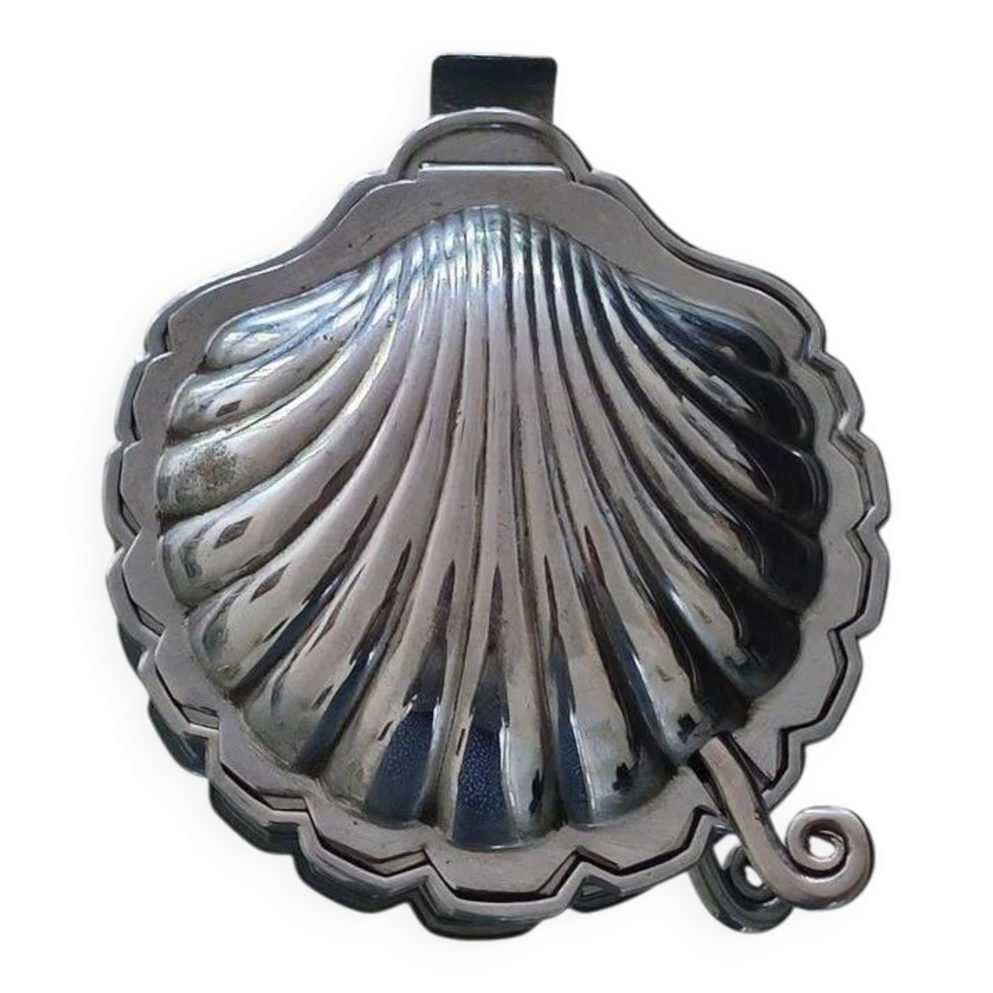 Grand Beurrier en Coquillage