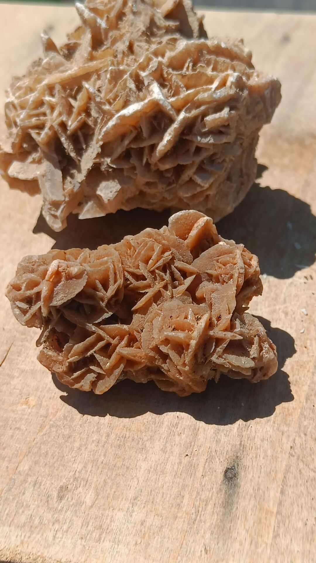 Roses des sables vintages
