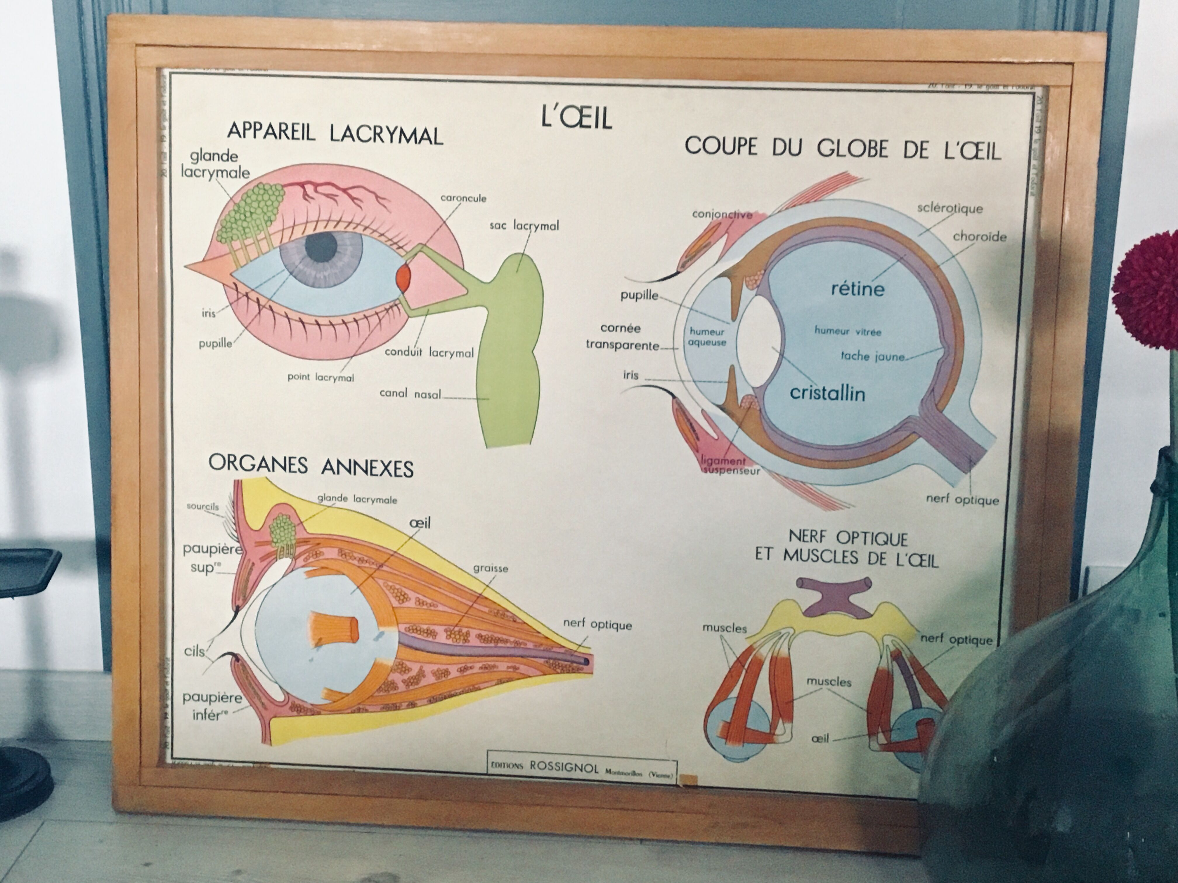 Rossignol School Poster Table