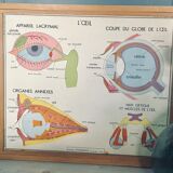 Rossignol School Poster Table