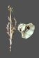Art Nouveau wall light in bronze and frosted glass