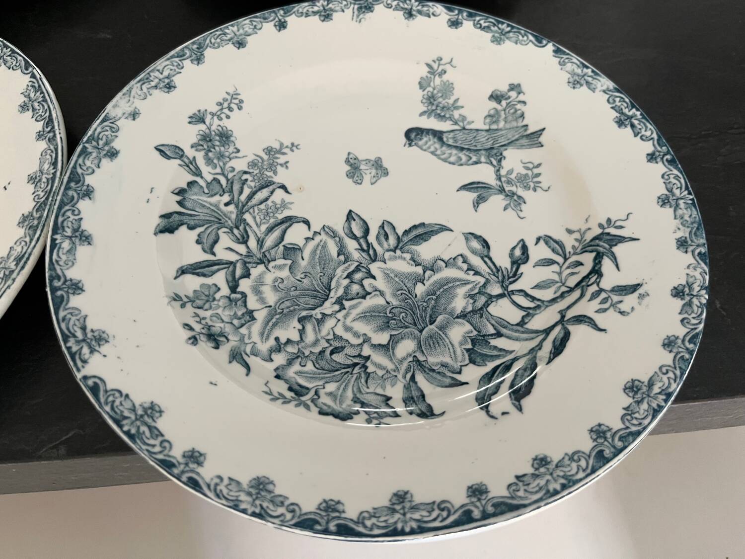 Léon Graves iron earth plates