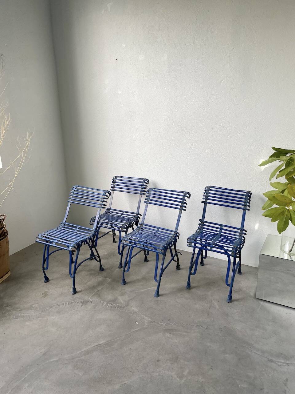 Series of 4 Arras chairs 1900