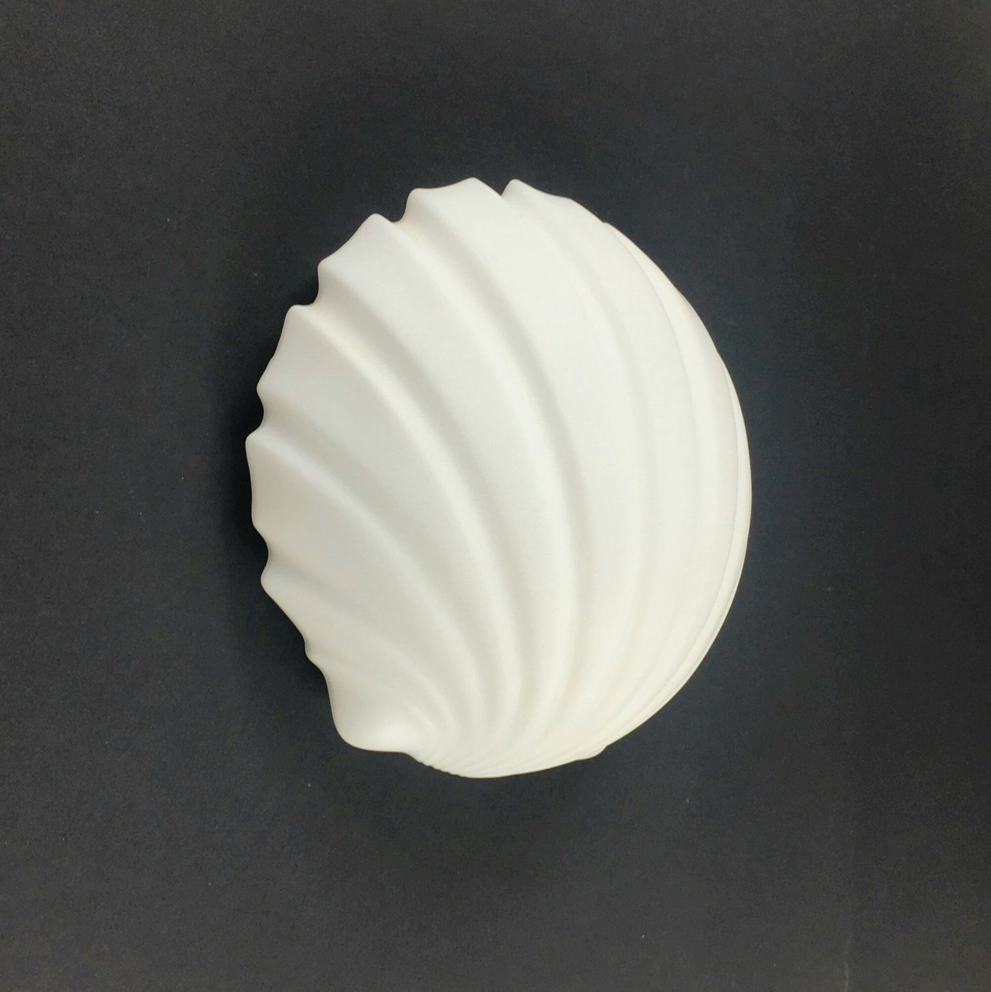Pair of Vintage Shell-Shaped Opaline Glass Wall Lamps from Limburg, 1970s