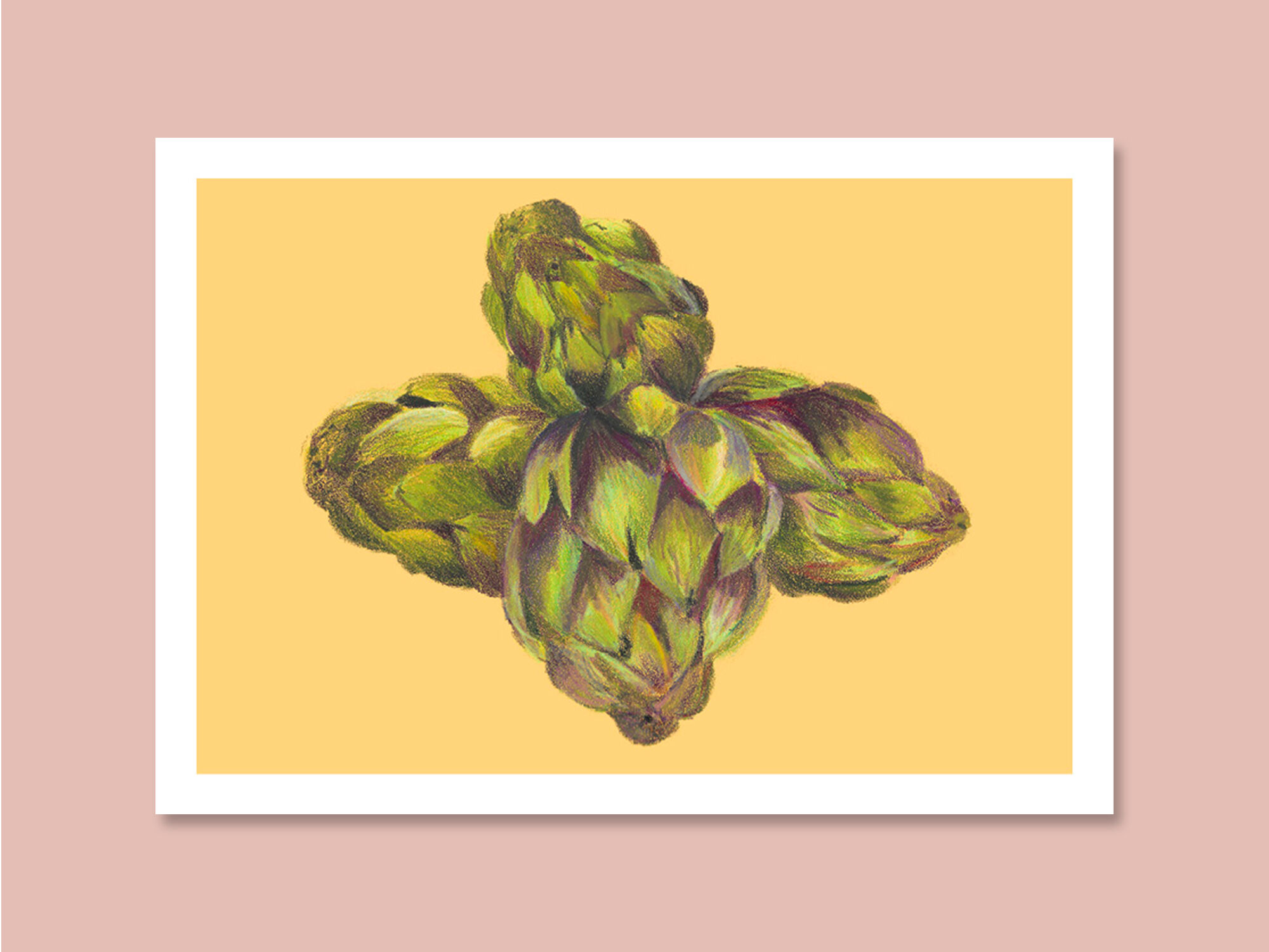 Pastel Artichoke A4 - flower vegetable