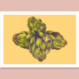 Pastel Artichoke A4 - flower vegetable