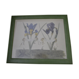 Framed botanical board