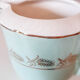 Tea service semi-porcelain céranord St Amand