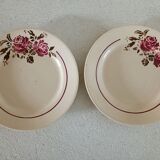 Two iron earth plates decorated with rose