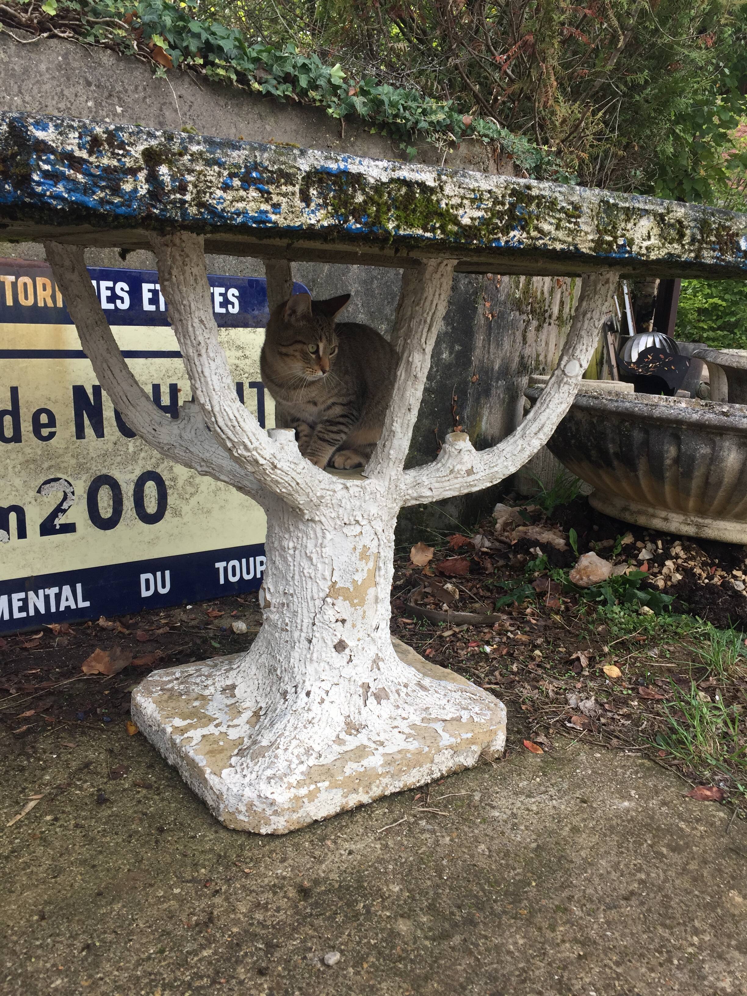 Cement outdoor table