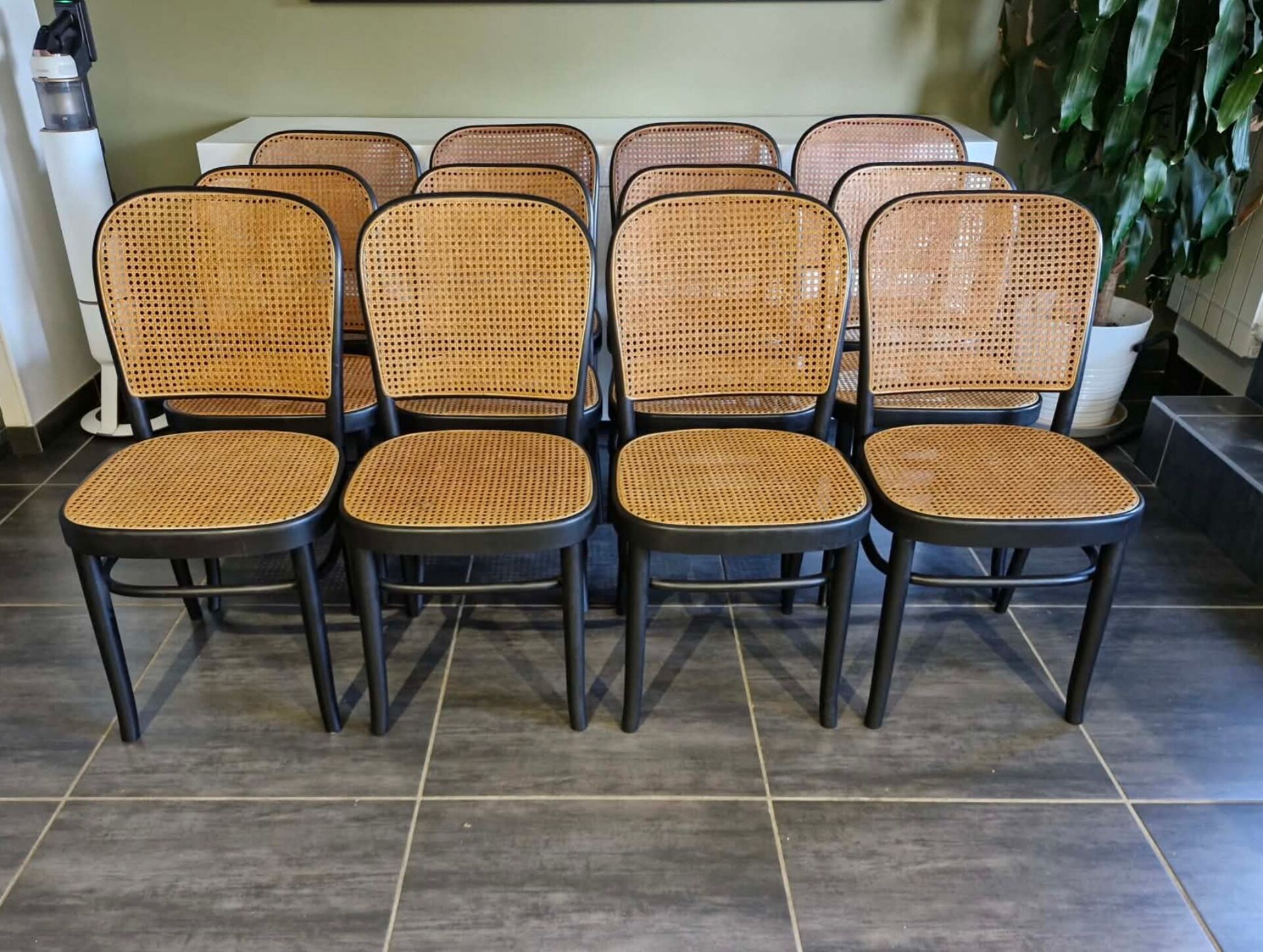 Set of 12 chairs no. 811 after Hoffmann, 1990s