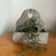 Wooden planter white patina