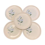 Set of 5 flat plates Sovirel