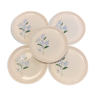 Set de 5 assiettes plates Sovirel