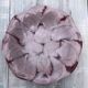 Fruit bowl or hollow dish