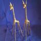 Lot de 3 antilopes en bronze
