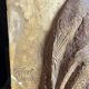 Patinated plaster bas-relief signed Robert Coutin, early 20th century.