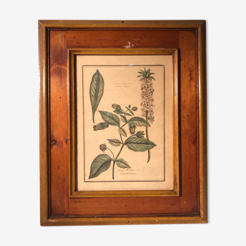 Former botanical plank vegan tampon relief with wood frame