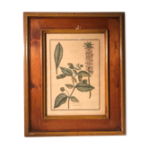 Former botanical plank vegan tampon relief with wood frame