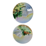 Two wall plates