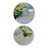 Two wall plates
