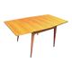 Table extensible