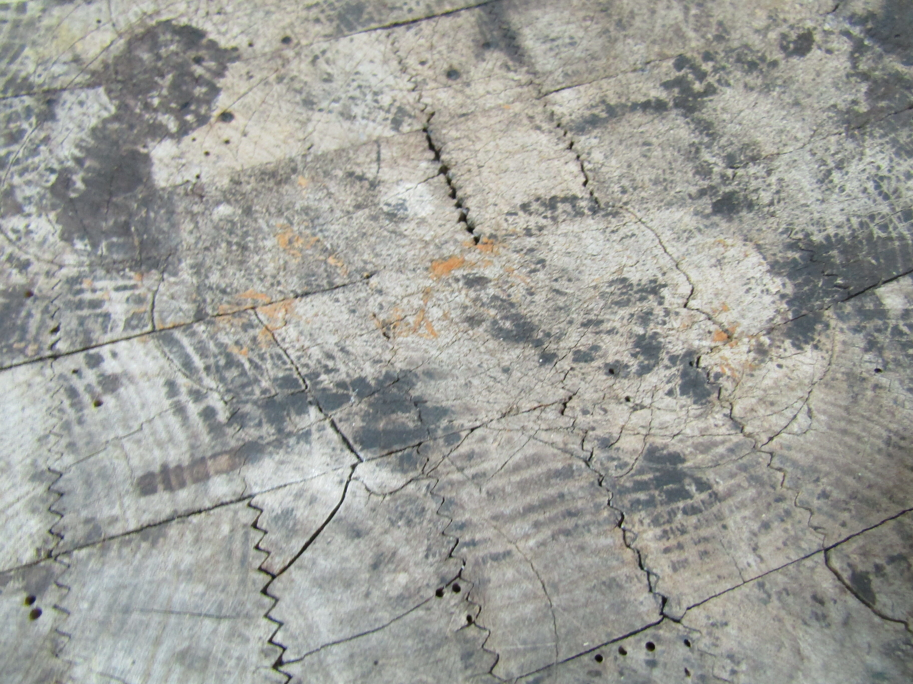 Former butcher's ball popular art