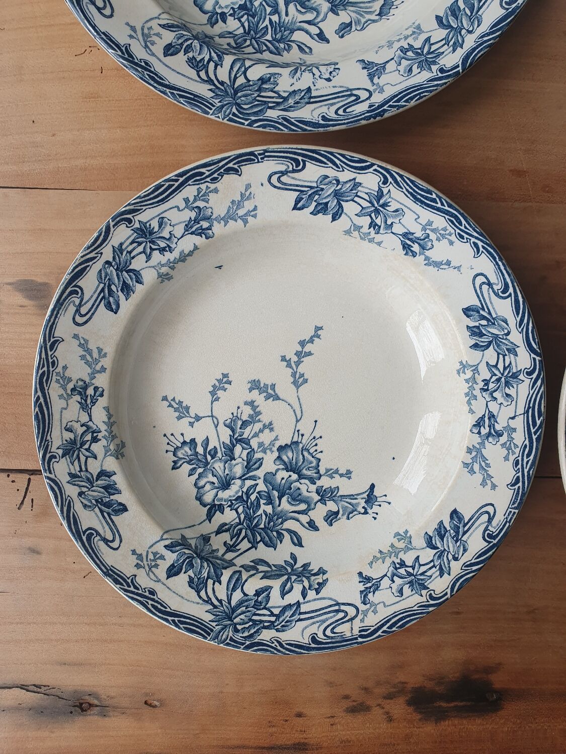 Hollow plates Longwy Azaleas