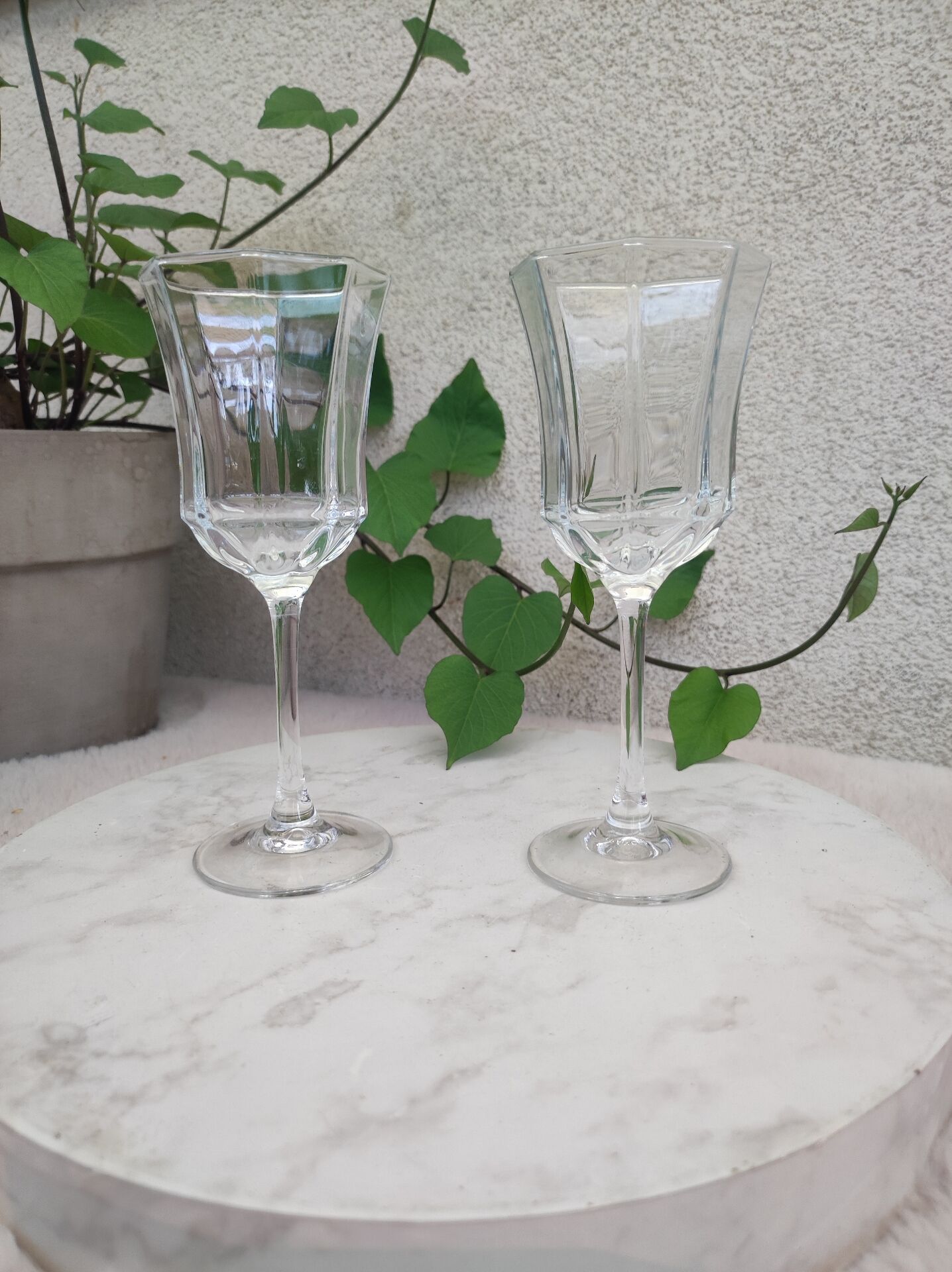 Verres à vin modèle octime