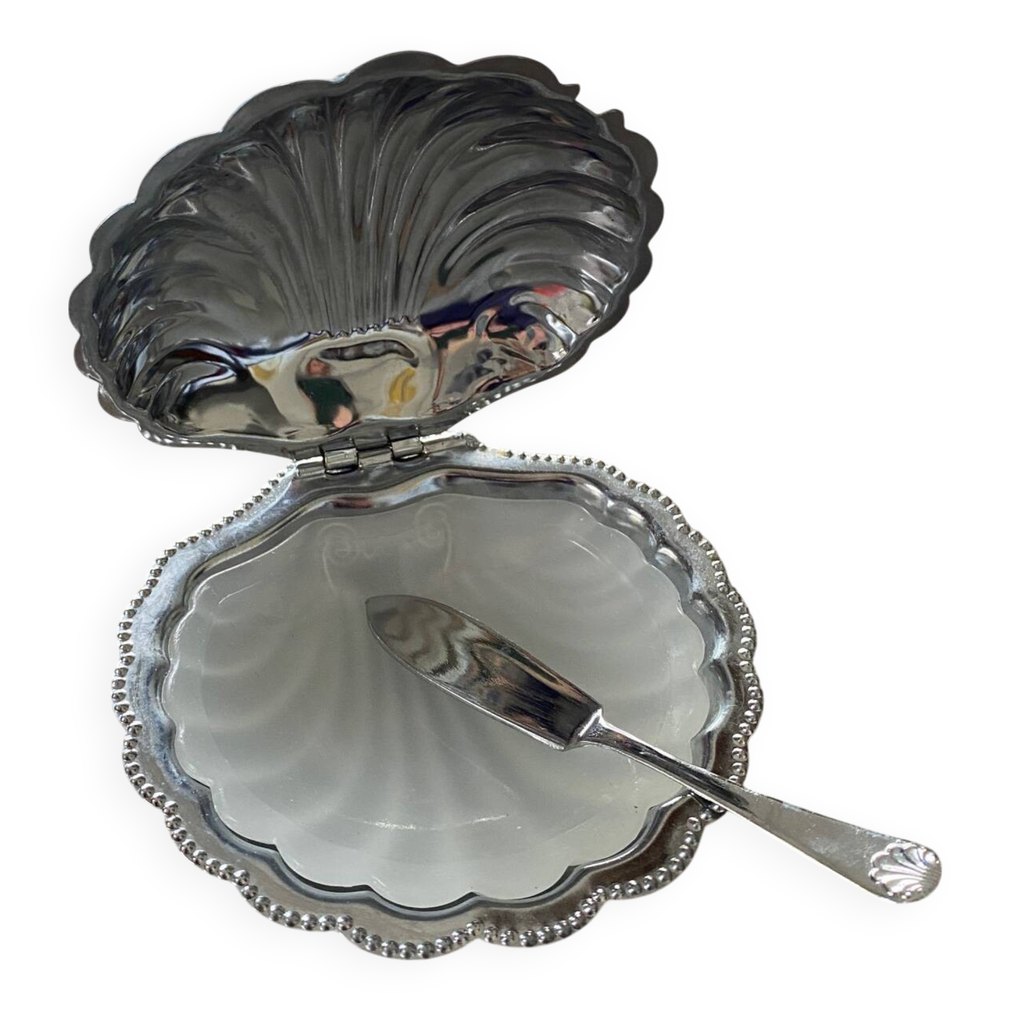 Stainless steel shell butter dish