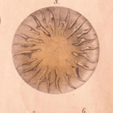 Poster "protozoan" lithograph 1914