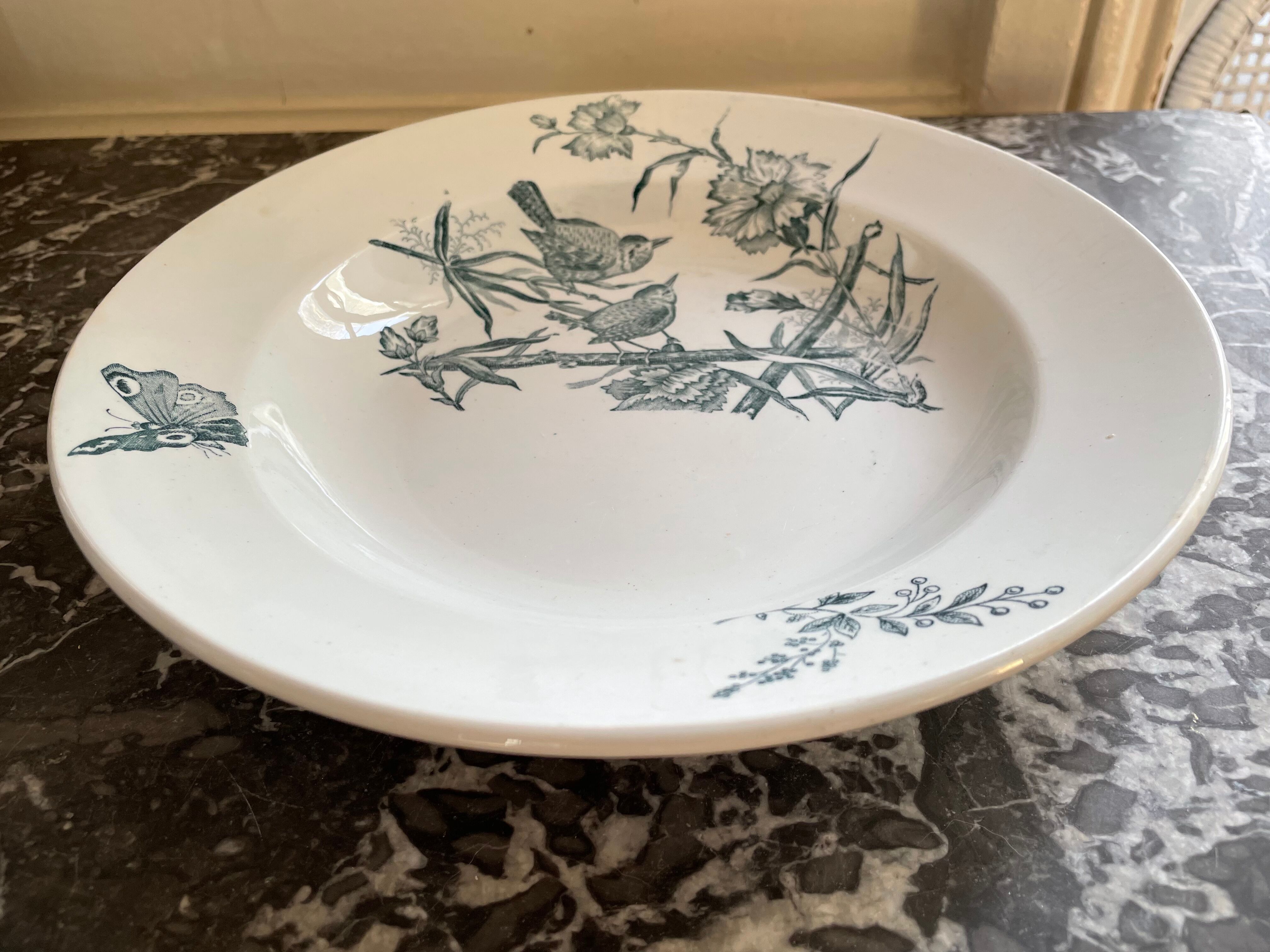 Hollow dish Saint Amand & Hamage "Aucella"