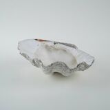 Decorative Tridacna seashell, boho style, 1980s