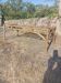 Table basse en rotin